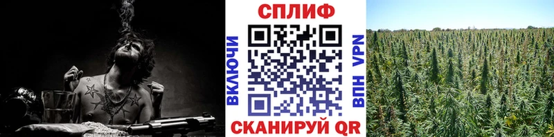 Купить  Азнакаево  Конопля Ganja 